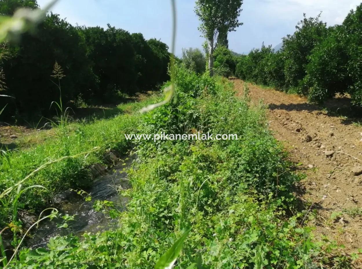 Farm For Sale In Köyceğiz Beyoba Bargain