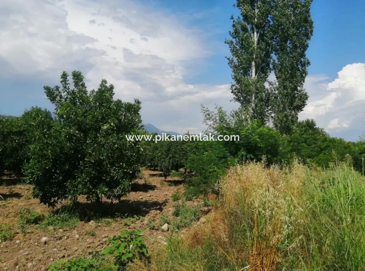 Farm For Sale In Köyceğiz Beyoba Bargain