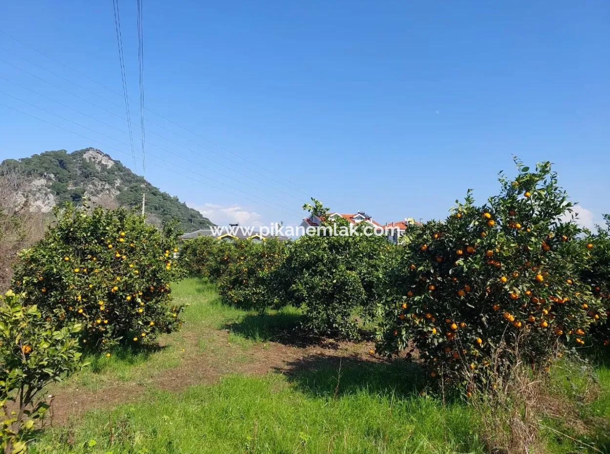 722 M2 Zoned Detached Land For Sale In Dalyan, Muğla