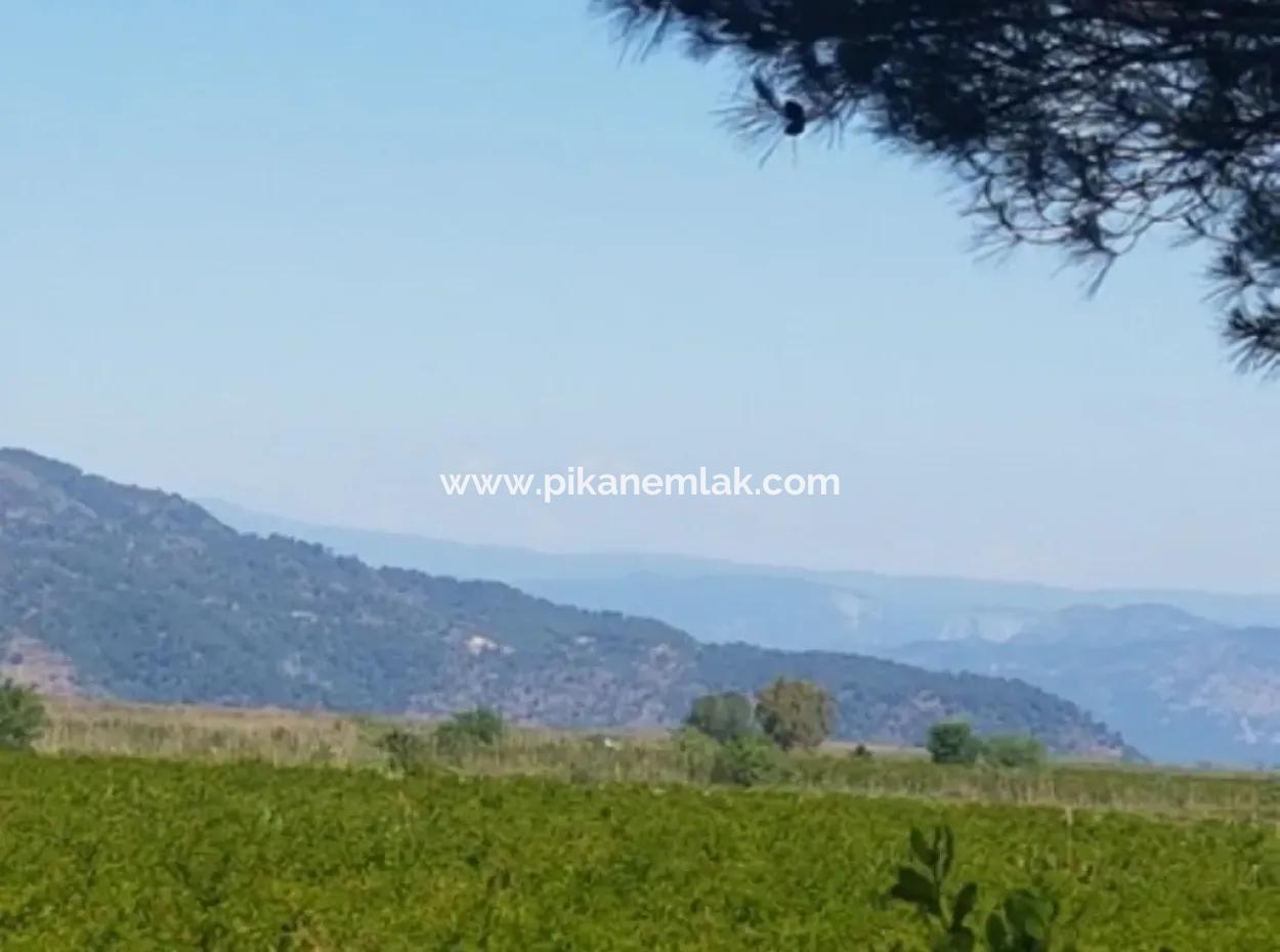Garden Of Pomegranates For Sale In Dalyan