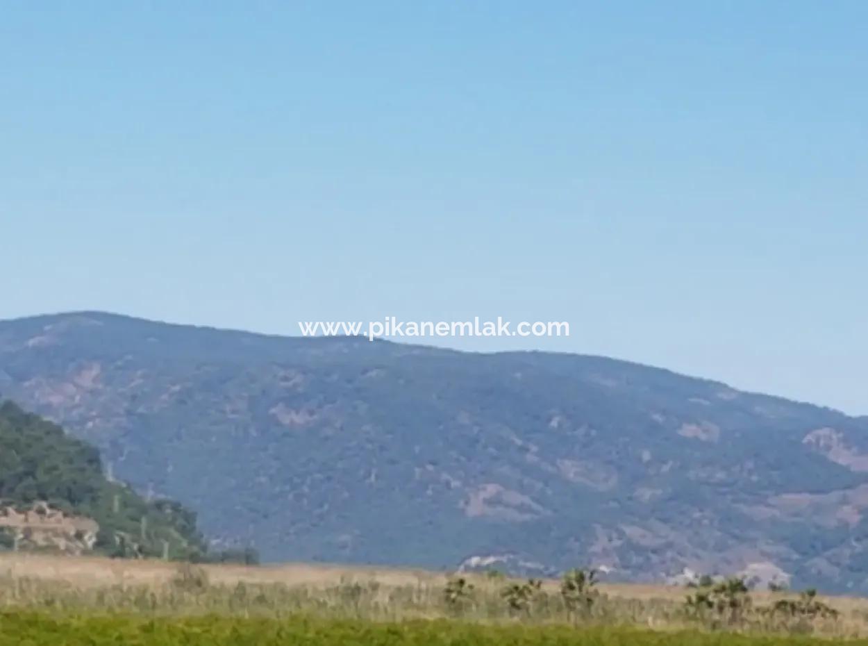 Garden Of Pomegranates For Sale In Dalyan