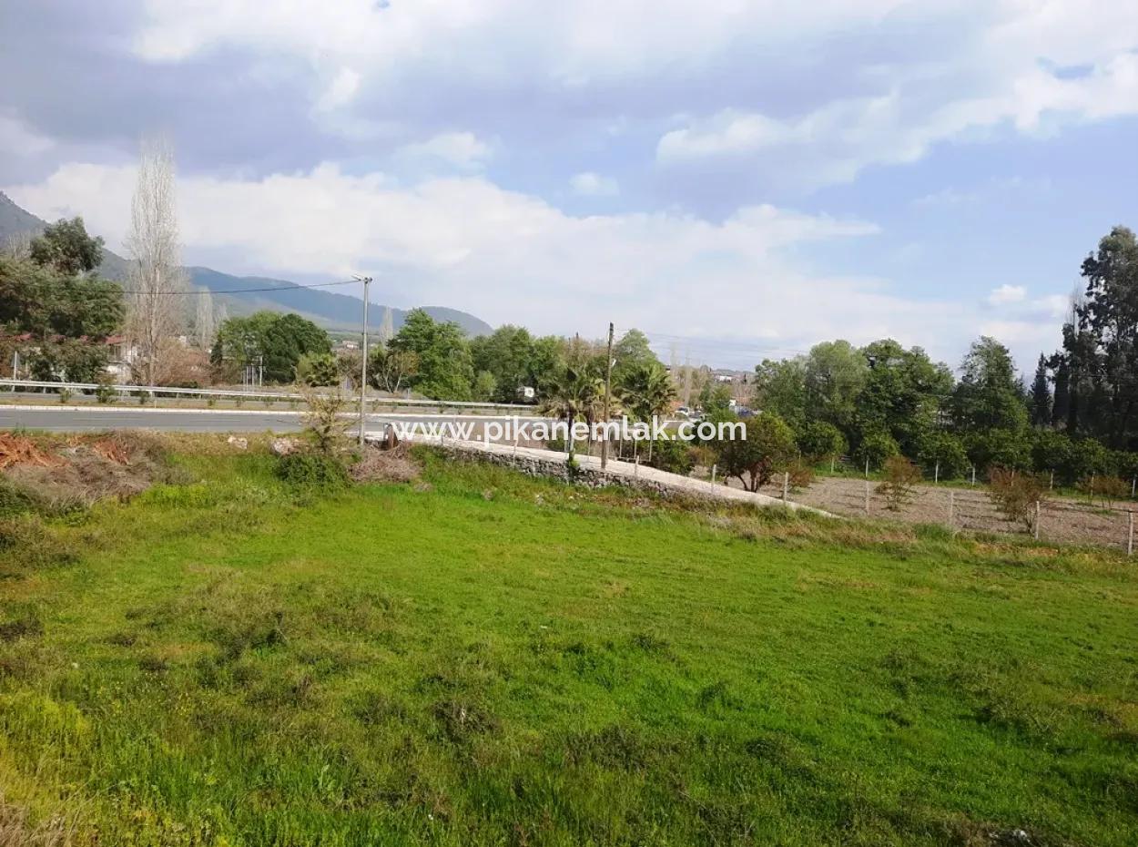 Köyceğiz Yangida Main Road Zero Investment Suitable Bargain Land For Sale