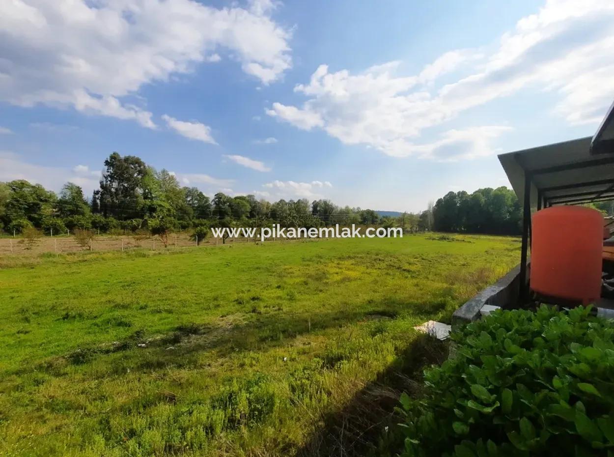 Köyceğiz Yangida Main Road Zero Investment Suitable Bargain Land For Sale