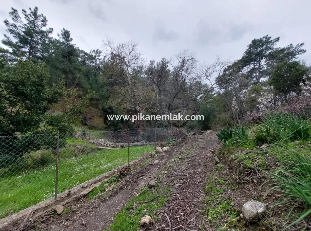 Ortaca Gökbelde Detached Nature In 626M2 Land For Sale