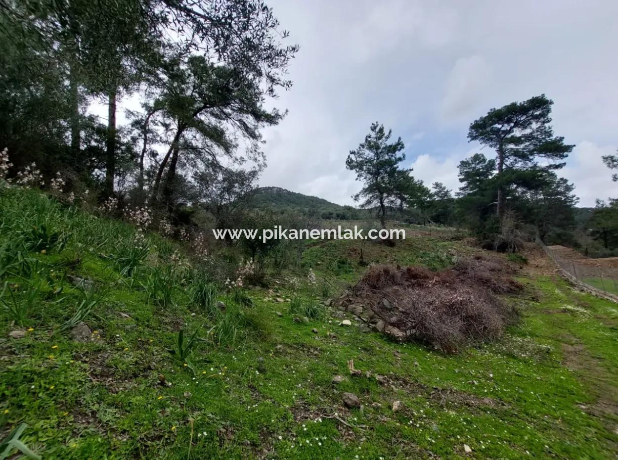 Ortaca Gökbelde Detached Nature In 626M2 Land For Sale