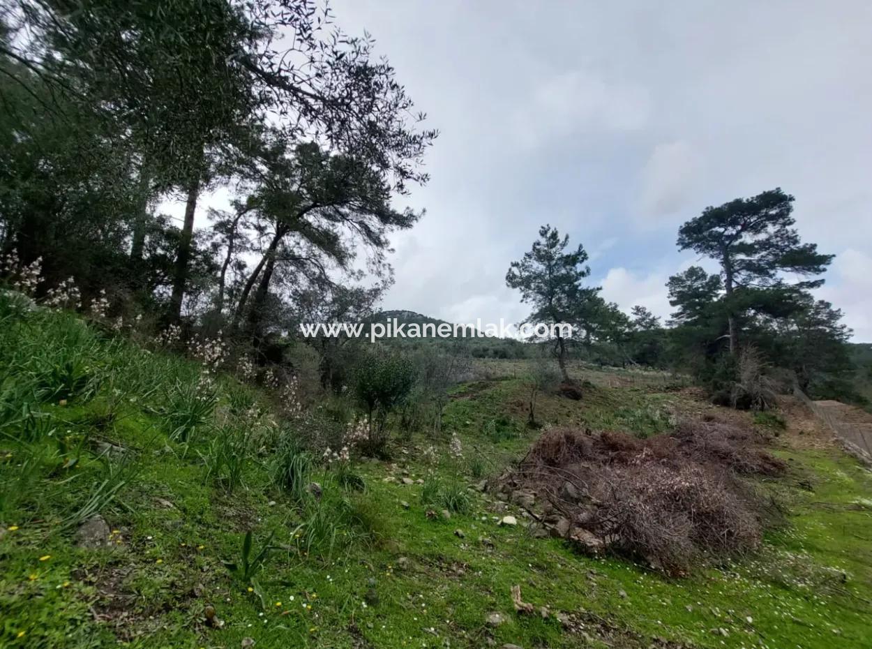 Ortaca Gökbelde Detached Nature In 626M2 Land For Sale