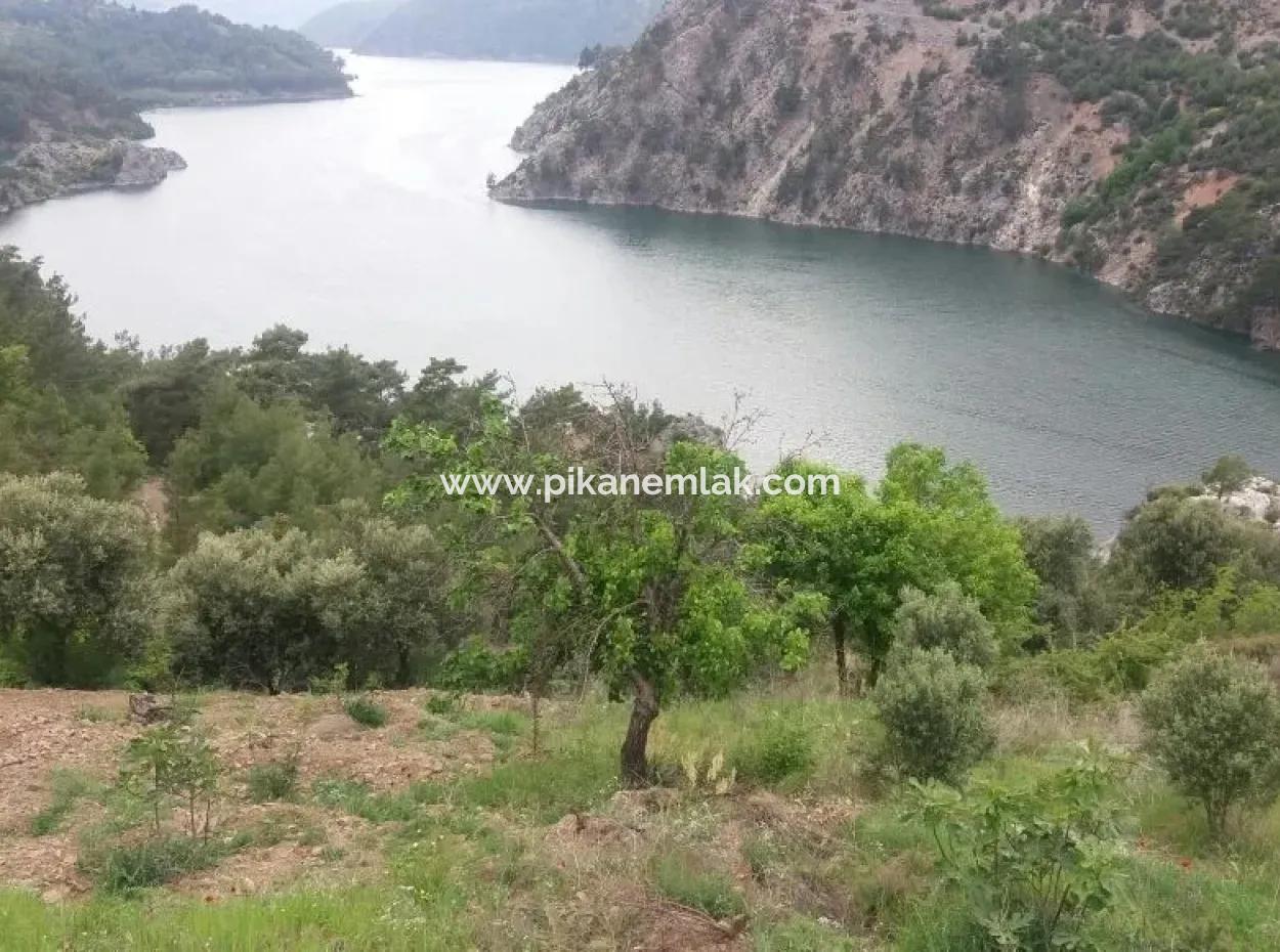 Farmland For Sale In Dalaman Bozbel Also With Views Of The Lake Dam