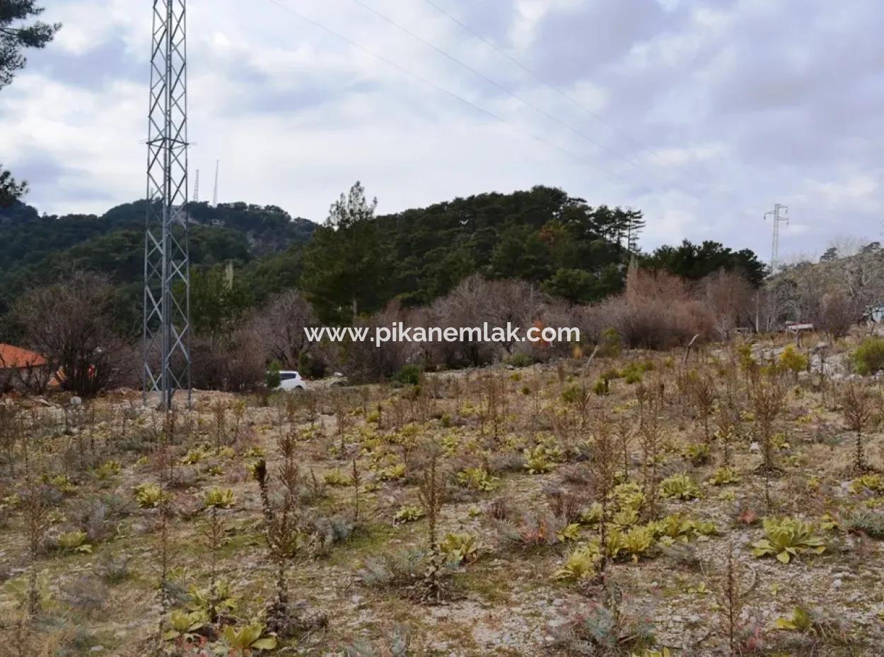 Fethiye, Nifte, 2 000 M2, Detached For Sale, Bargain Land