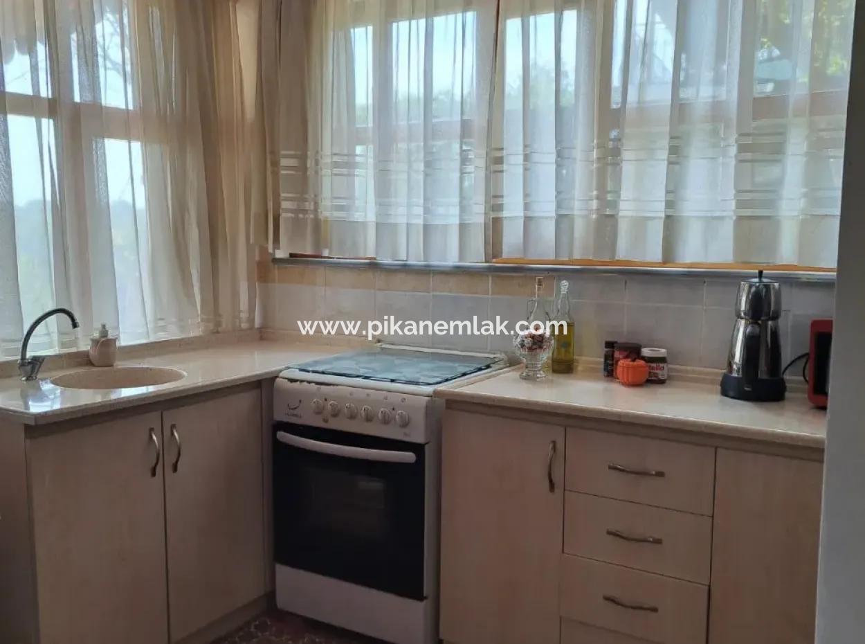 Triplex 3 1 Villa With Swimming Pool In Sakarya Hendek For Sale Or Exchange