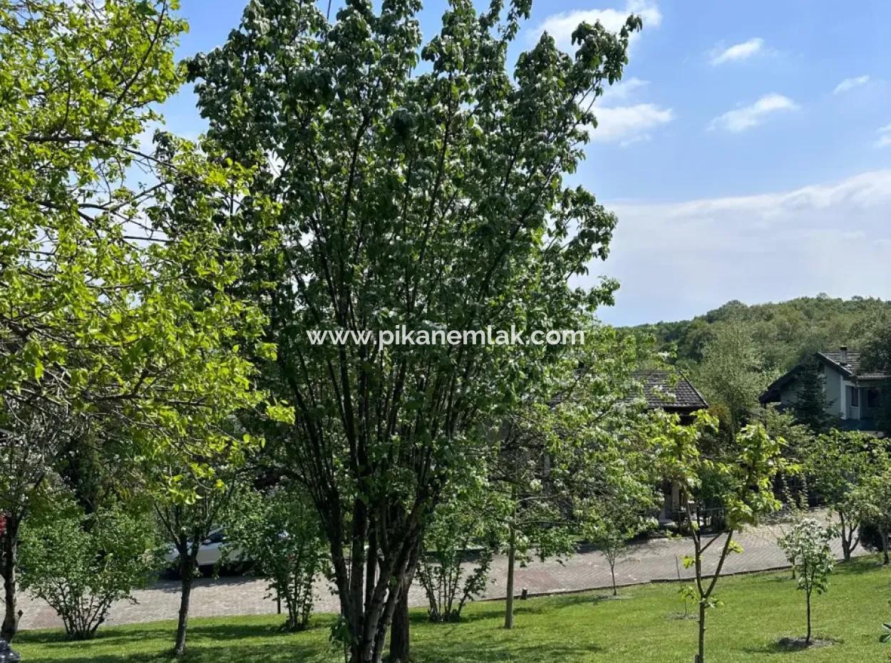 Triplex 3 1 Villa With Swimming Pool In Sakarya Hendek For Sale Or Exchange