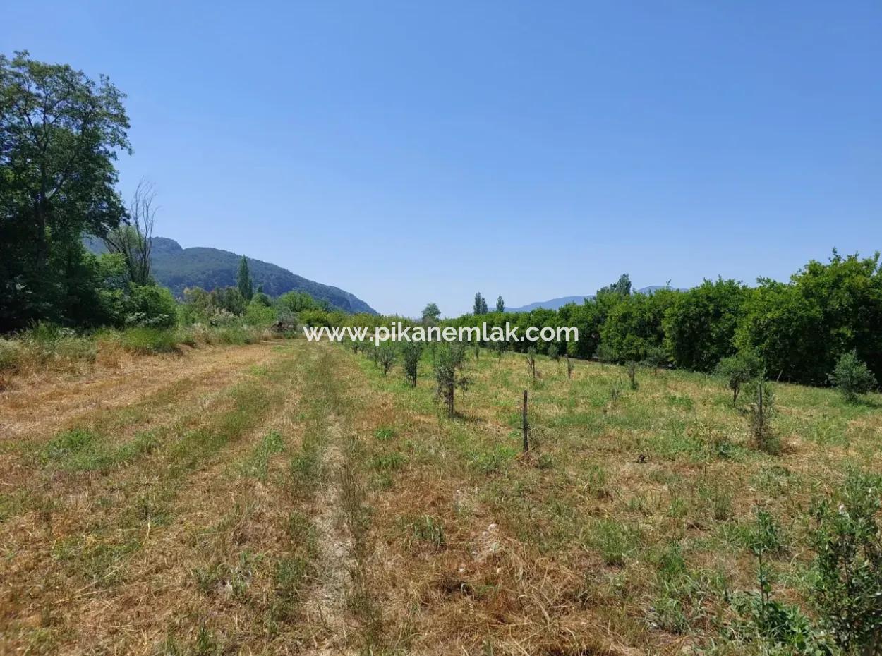 750 M2 Share Of 5 200 M2 Land In Ortaca Kemaliye Is For Sale