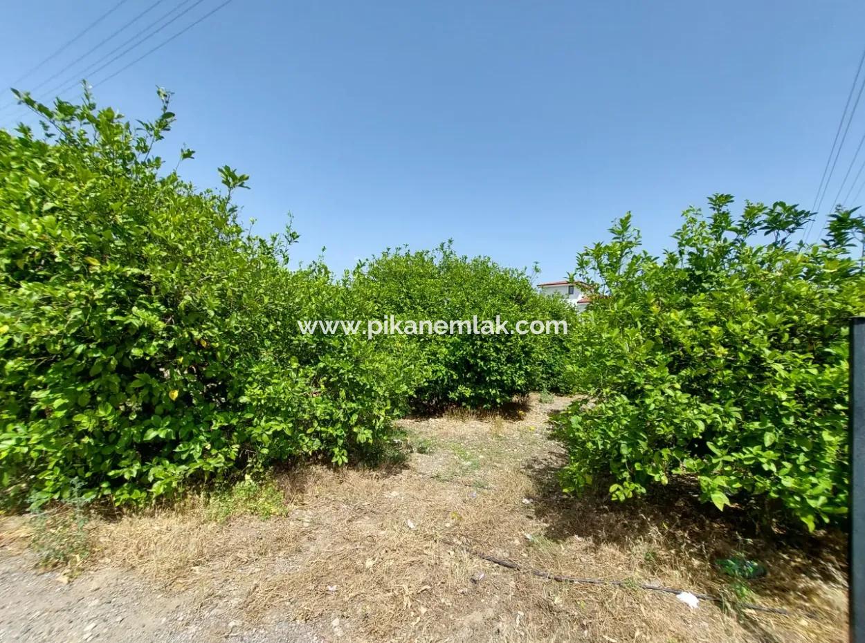 Muğla Ortaca Ekşiliyurtta Residential Zoned Detached 2 000M2 Land For Sale