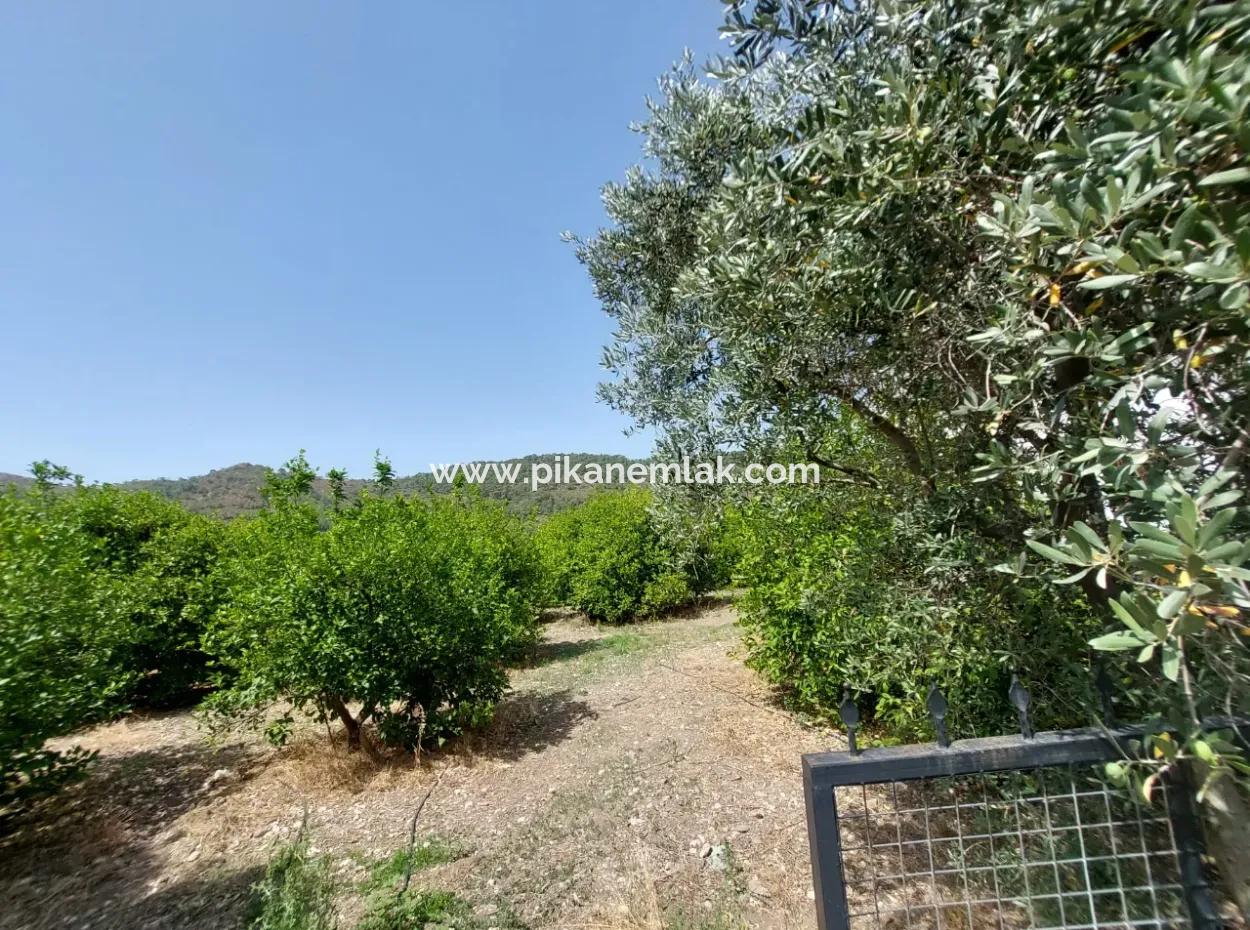Muğla Ortaca Ekşiliyurtta Residential Zoned Detached 2 000M2 Land For Sale