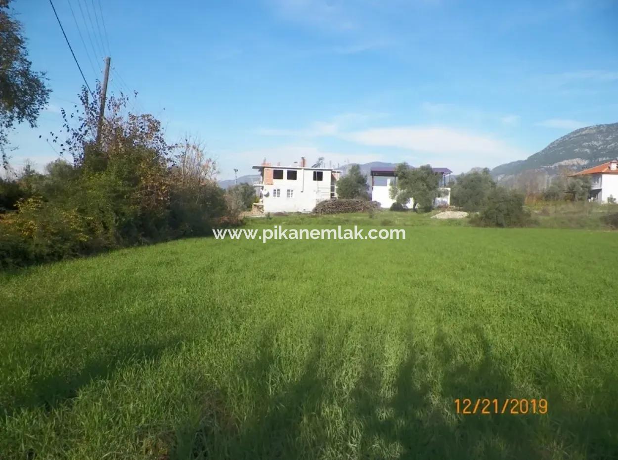 Land For Sale In Bargain Detached Zeytinalani