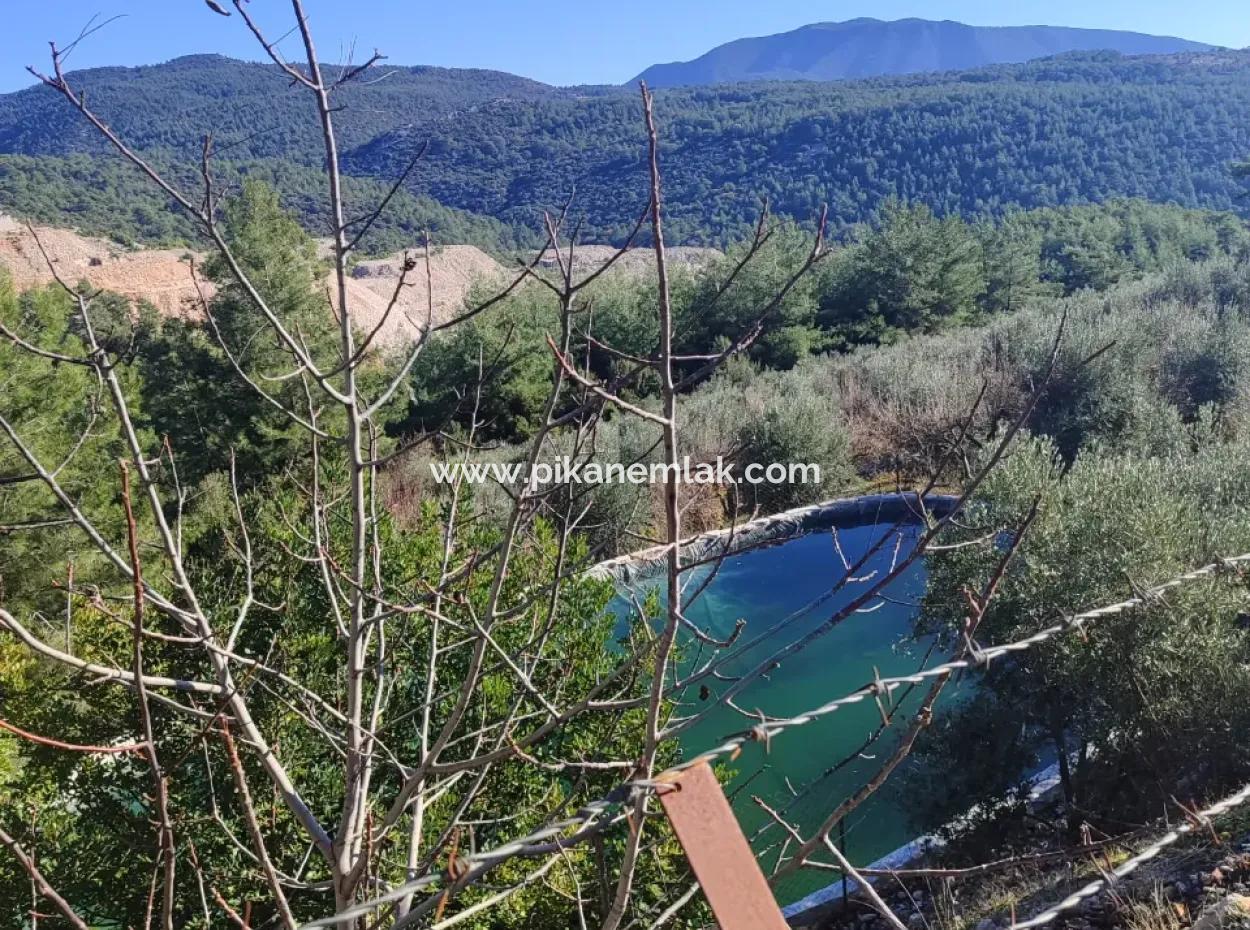 120 M2, 3 1 Single Storey House For Sale On 8500 M2 Land With Sea And Nature View In Antalya Finike Alacadağ