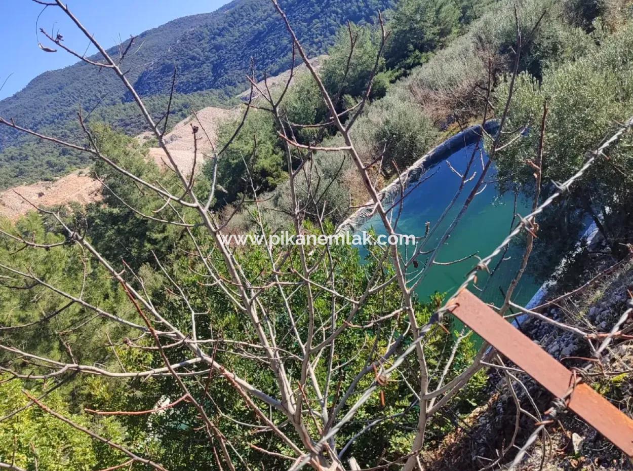 120 M2, 3 1 Single Storey House For Sale On 8500 M2 Land With Sea And Nature View In Antalya Finike Alacadağ