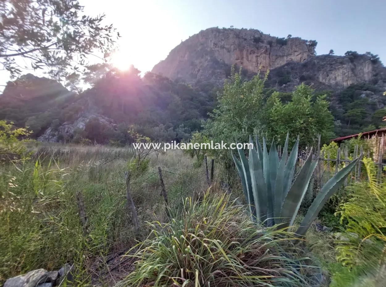 Single Storey House For Sale On 15 000 M2 Detached Land Close To Dalyan Canal In Köyceğiz Çandırda