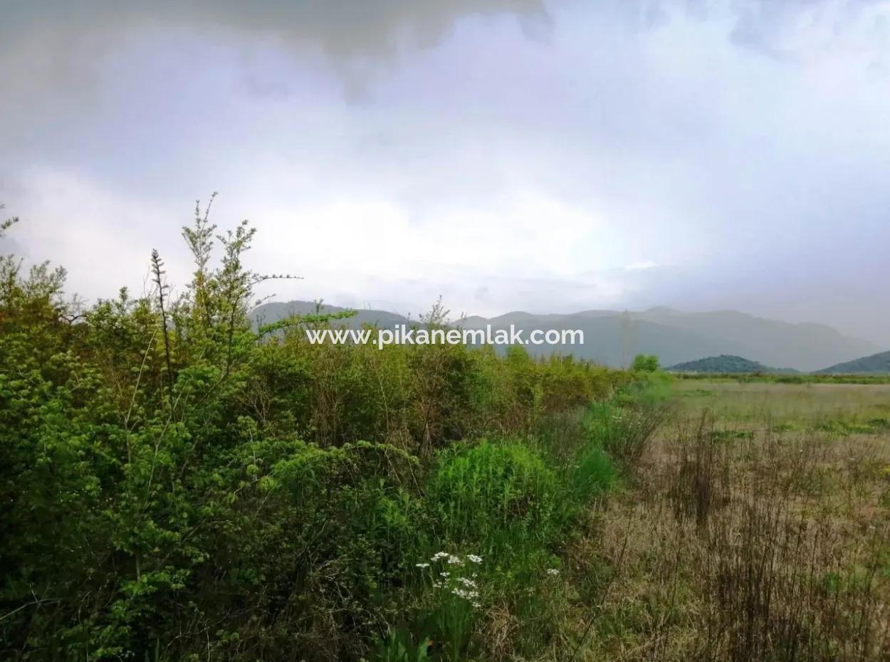 Güzelyurt For Sale Landscaped Gardens Pomegranate Ta