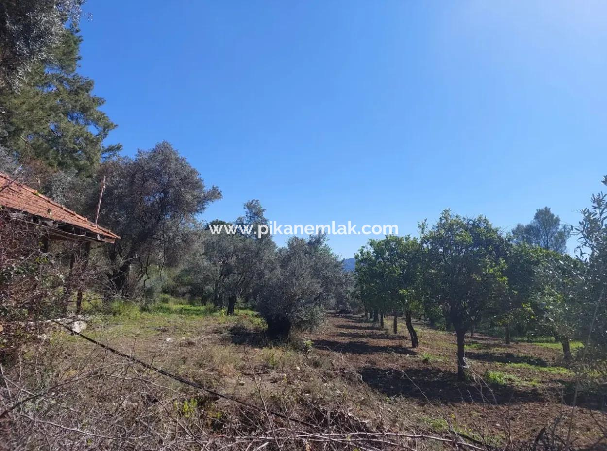 Village House With Lake View And Olive Grove Land For Sale In Köyceğiz Çandır, Muğla