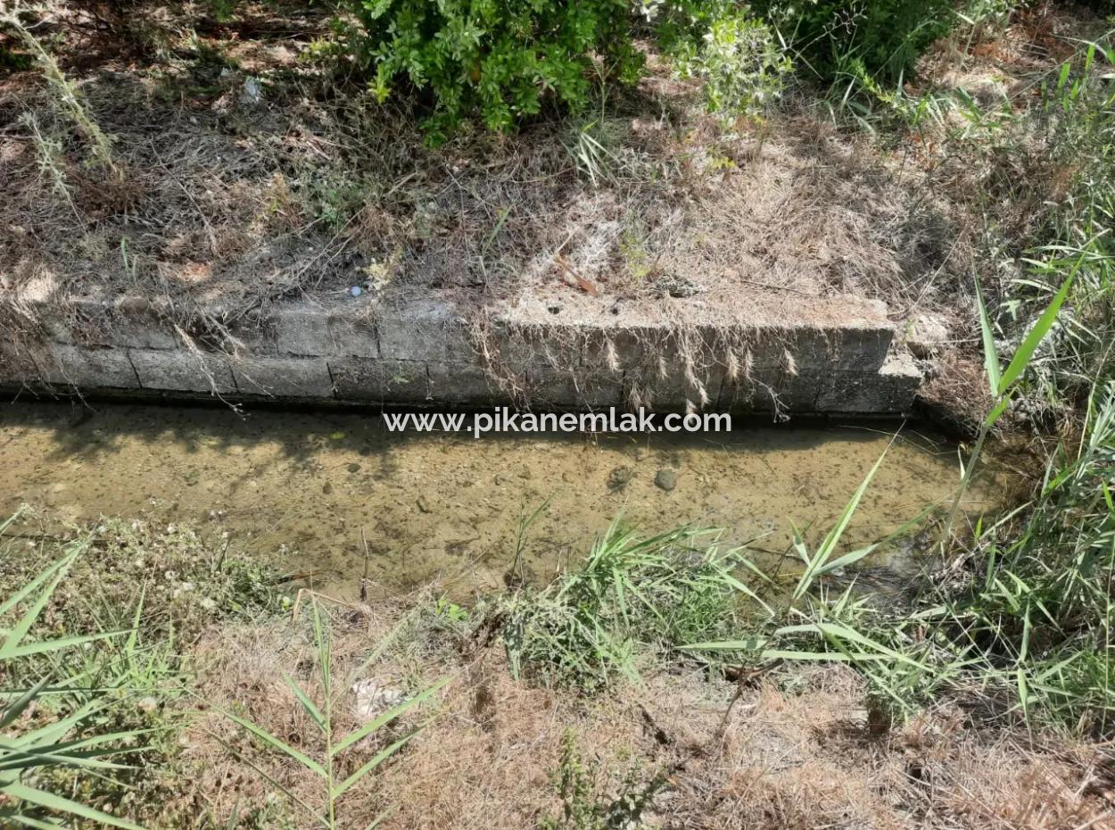 Muğla Dalyanda Mountain Zero, Waterside 10 500 M2 Pomegranate Garden For Sale