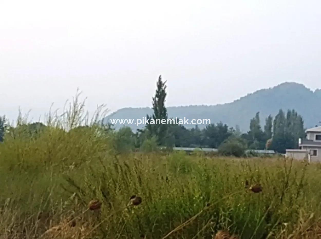 Archers Are Also For Sale, Investment Land Suitable For