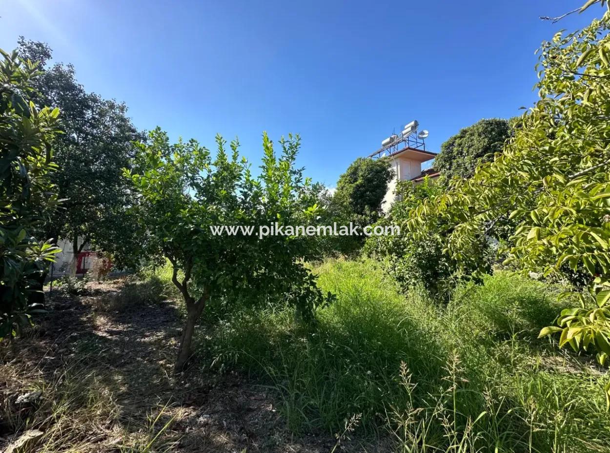 1129 M2 Zoned Land For Sale In Ortaca Dalaklı