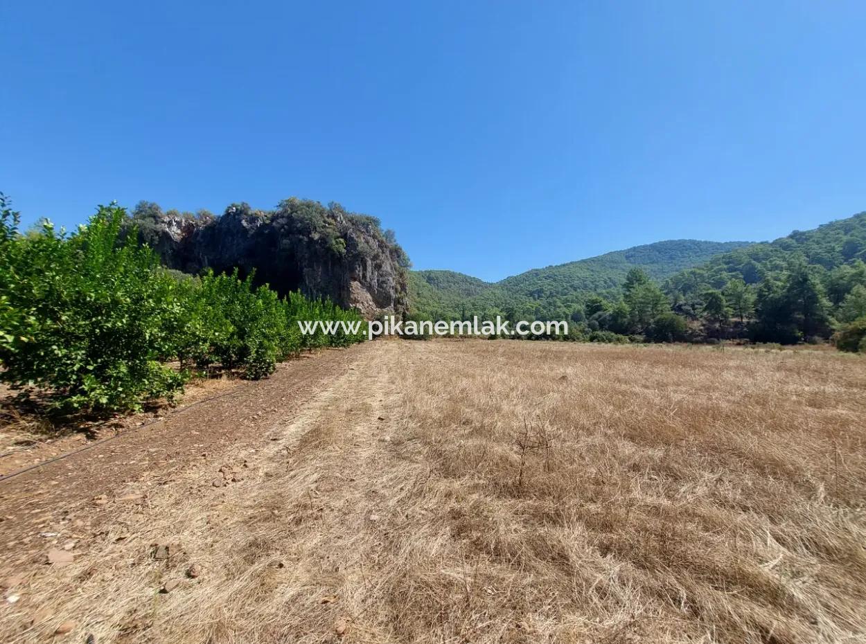 4.427 M2 Fertile Land With Mountain And Nature View In Ortaca Okçular For Sale