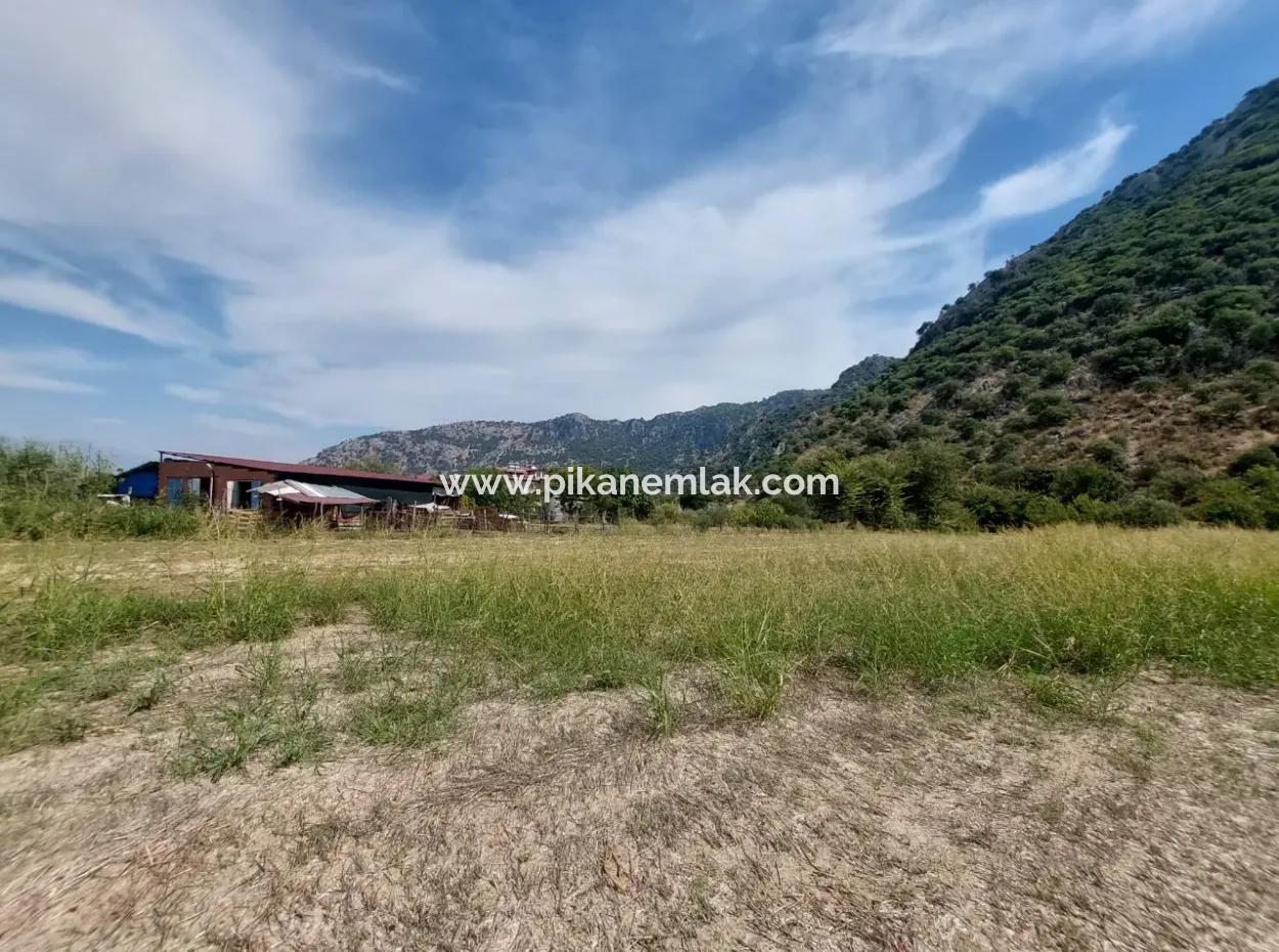 Mountainfront Fertile 1.680 M2 Land For Sale In Dalyan, Muğla