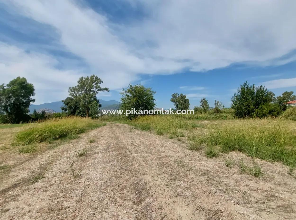 Mountainfront Fertile 1.680 M2 Land For Sale In Dalyan, Muğla