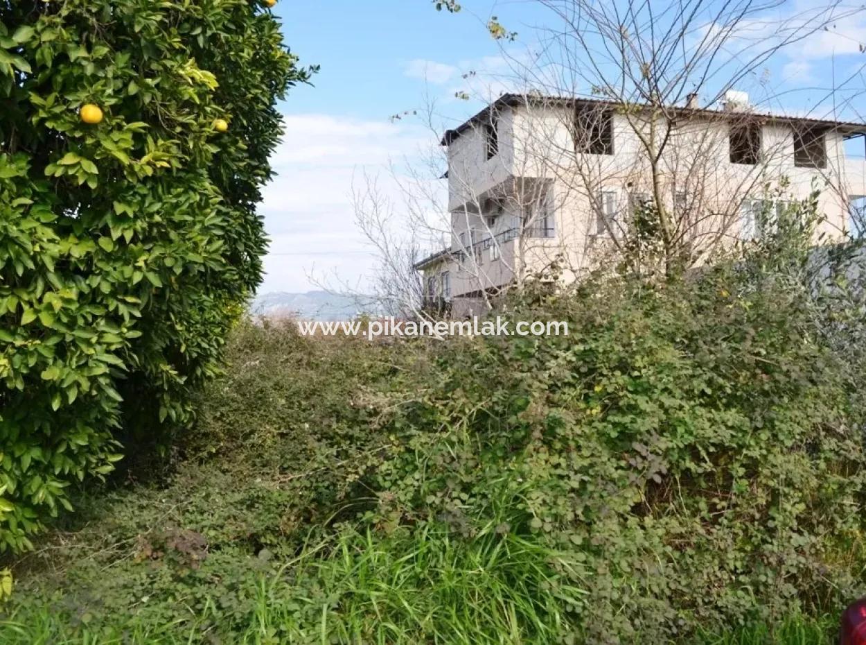 Commercial Zoned Bargain Land For Sale In Dalyan