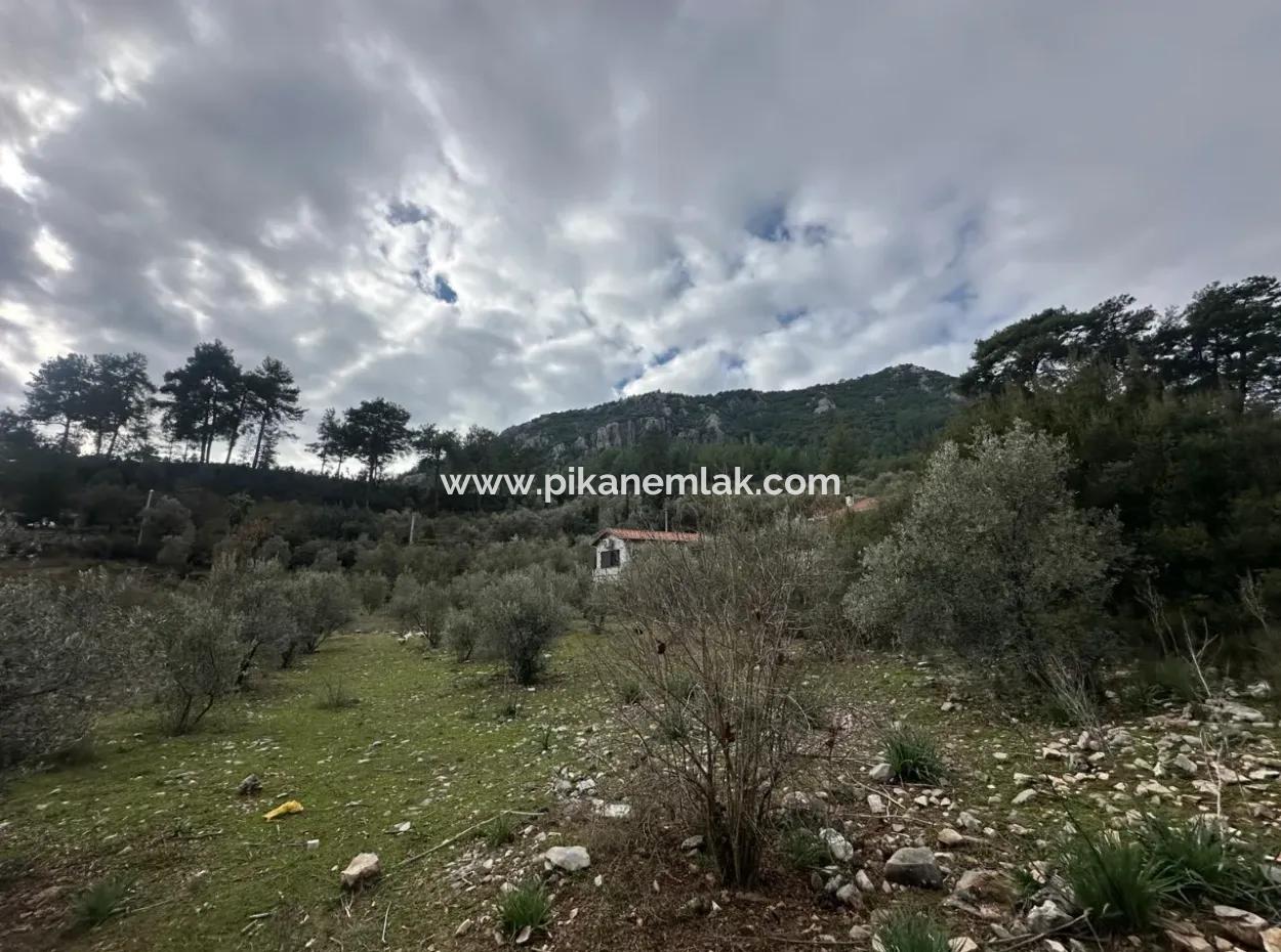 For Sale In Fethiye Gökçeovacıkta 1709 M2