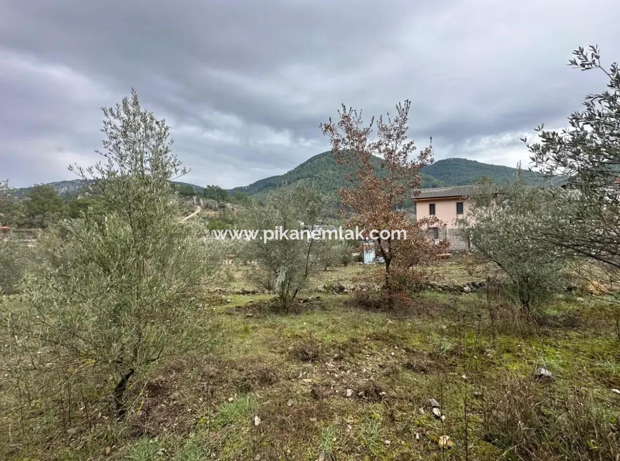 For Sale In Fethiye Gökçeovacıkta 1709 M2