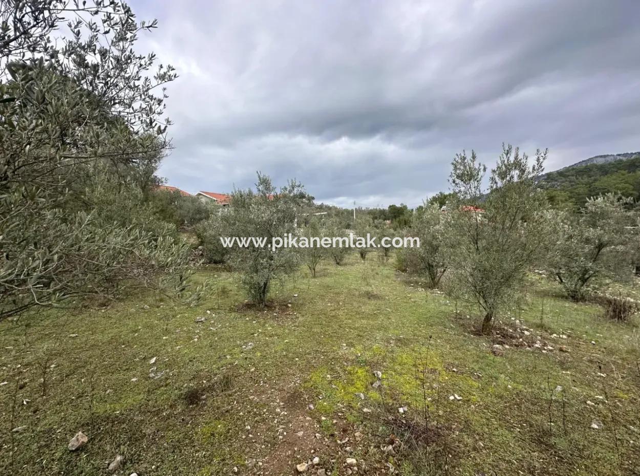 For Sale In Fethiye Gökçeovacıkta 1709 M2