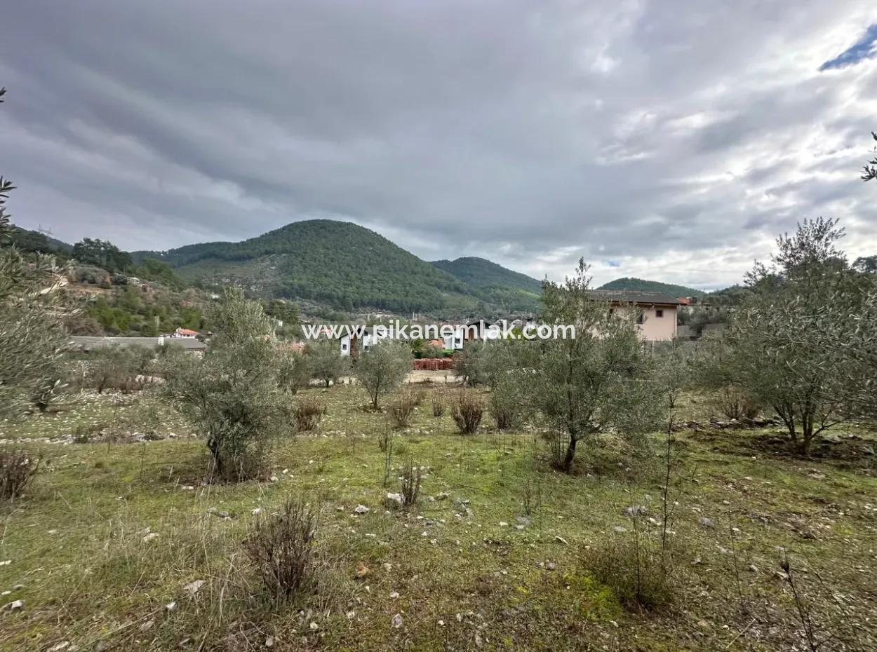 For Sale In Fethiye Gökçeovacıkta 1709 M2