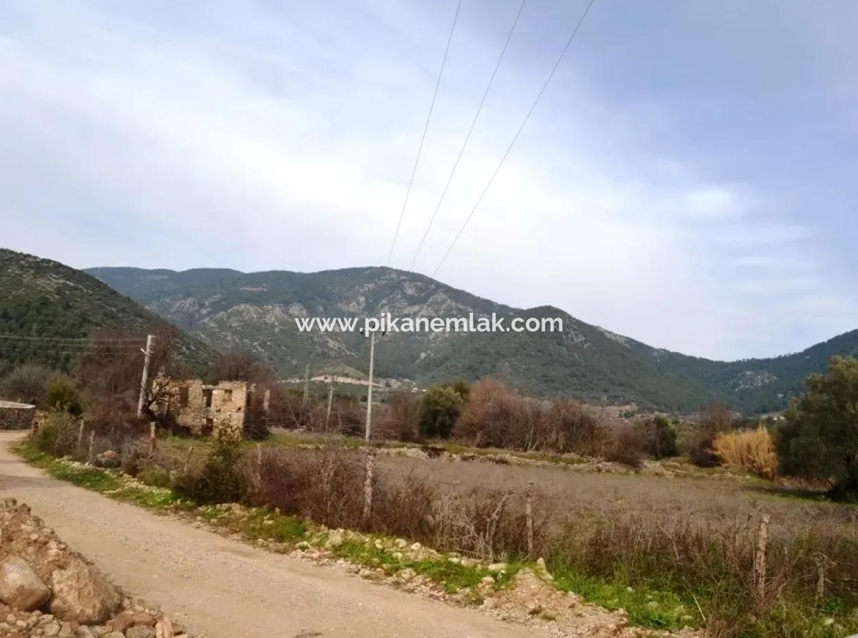 Farm For Sale Incirkoy Fethiye Bargain