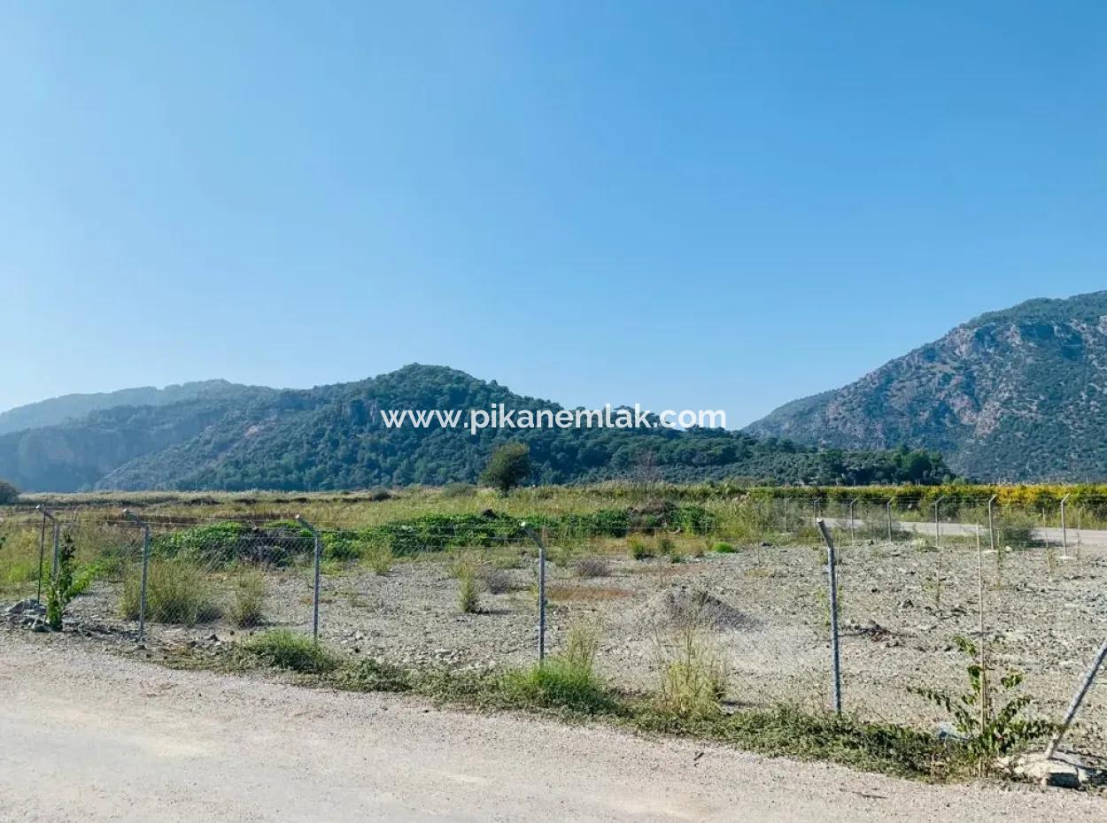 Fields Suitable For Cooperative In Ortaca Güzelyurt Are For Sale