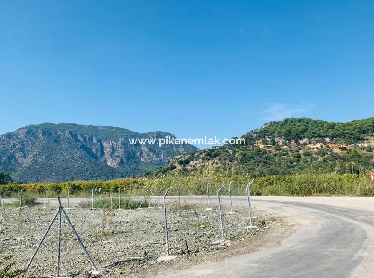 Fields Suitable For Cooperative In Ortaca Güzelyurt Are For Sale