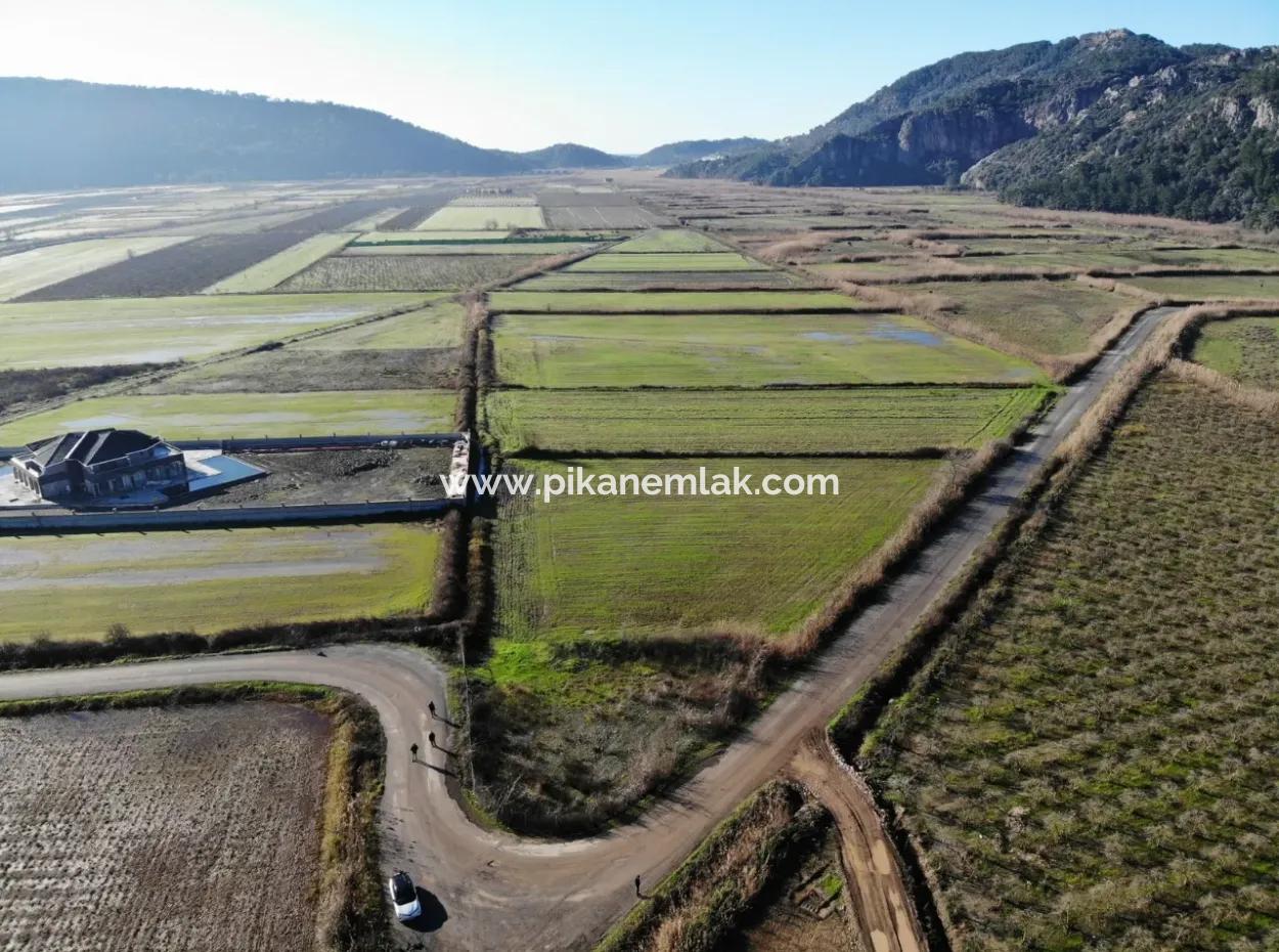 Fields Suitable For Cooperative In Ortaca Güzelyurt Are For Sale