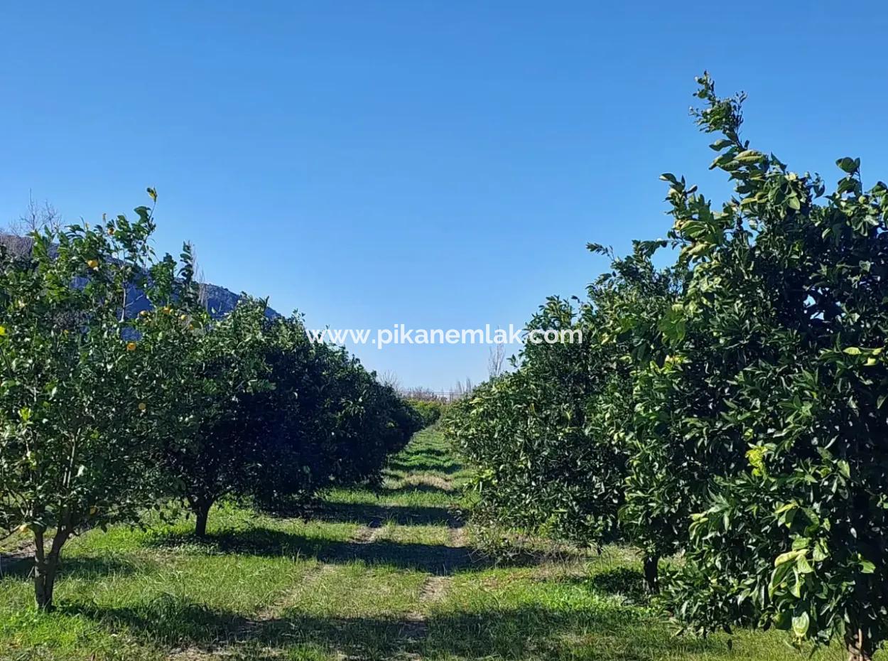 500 M² Land Suitable For Investment In Muğla Ortaca Okçular For Sale