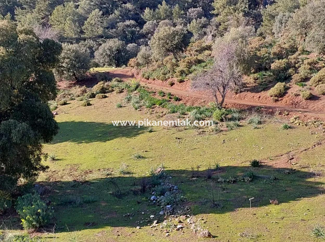 28.350 M2 Land For Sale In Ortaca Gökbelde With Detached Title Deed Sea View