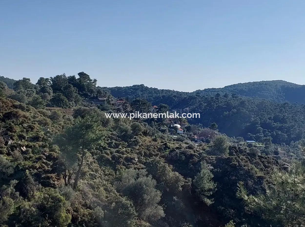 28.350 M2 Land For Sale In Ortaca Gökbelde With Detached Title Deed Sea View