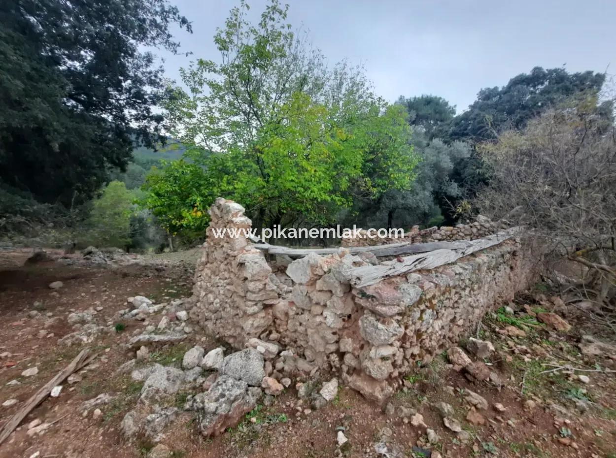 24.000 M2 Detached Land For Sale In Muğla Dalyan Gökbelde Nature
