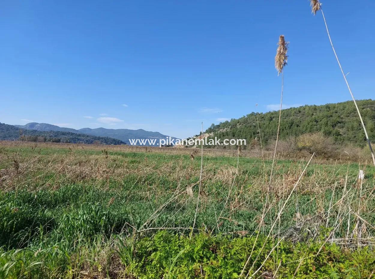 Fertile 6.350 M2 Land For Sale In Muğla Ortaca Güzelyurt