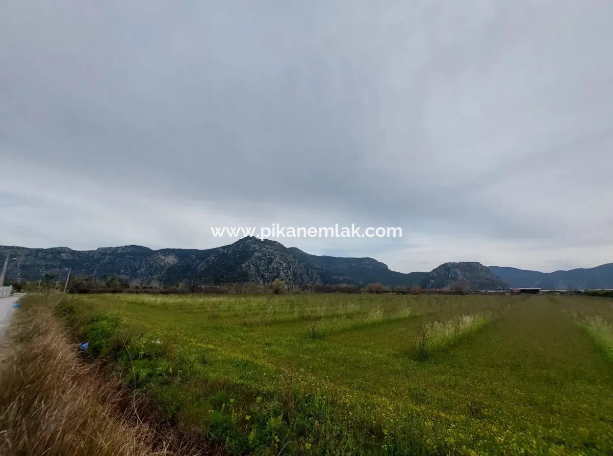 5 000 M2, 250 M2 Construction Permit, Land Close To Dalyan Canal For Sale In Dalyan, Muğla