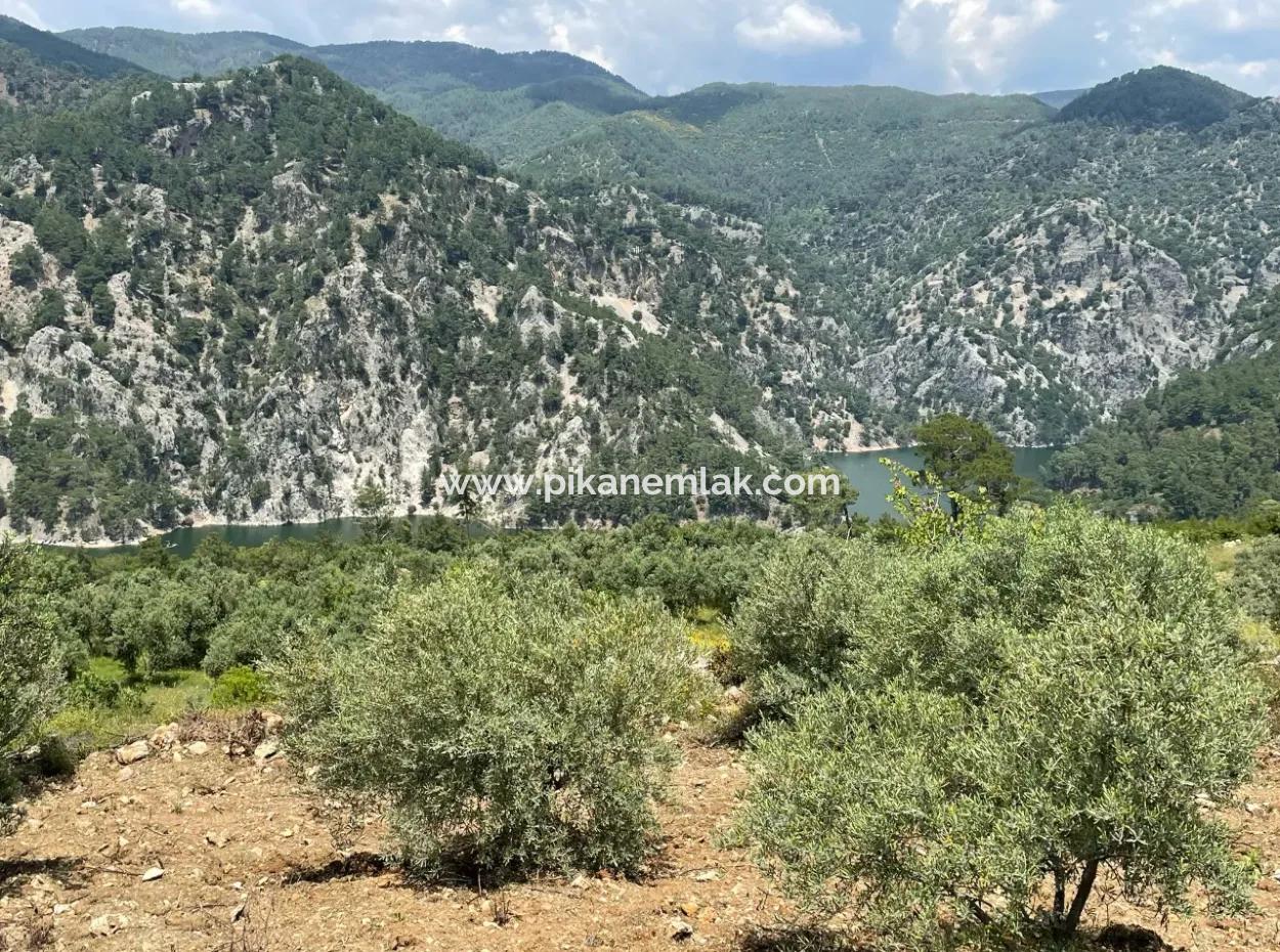 Dalaman, 500M2 On The Side Of Bozbel Dam