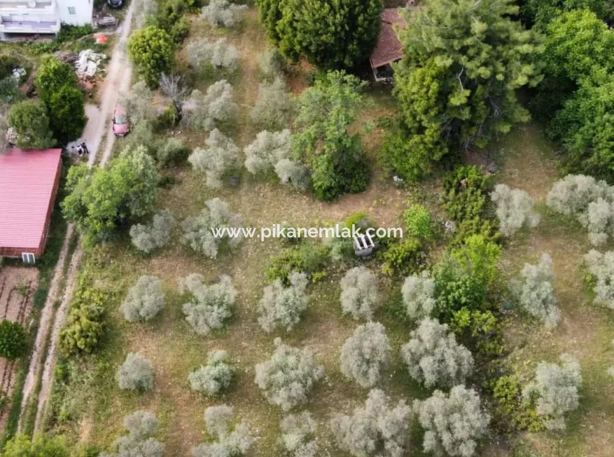 1228 M2 Land And Kargir House For Sale In Muğla Menteşe Yaraş, Village In Village.   