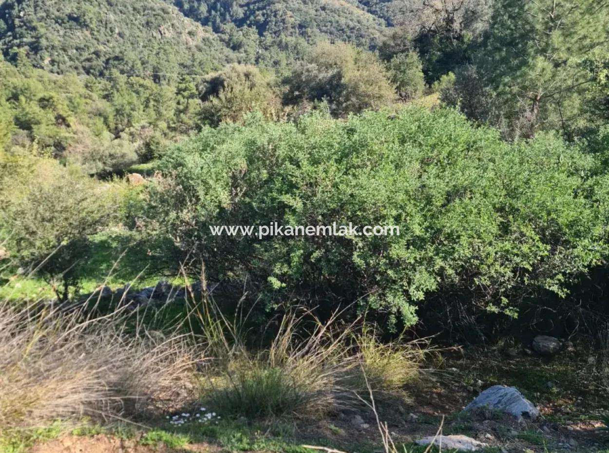 Fethiye İnlice 3 970 M2 Detached Land For Sale