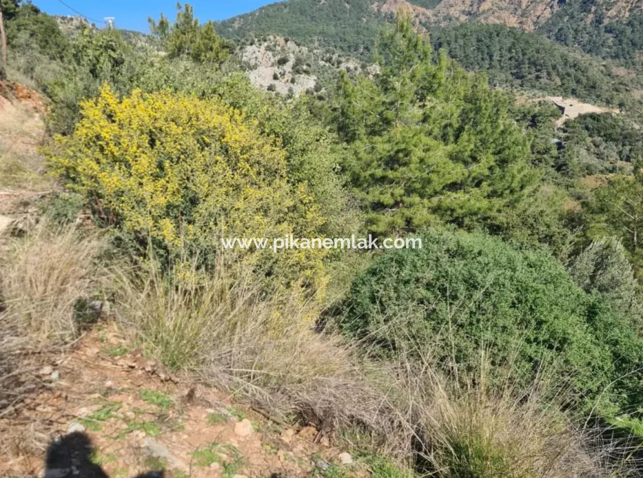 Fethiye İnlice 3 970 M2 Detached Land For Sale