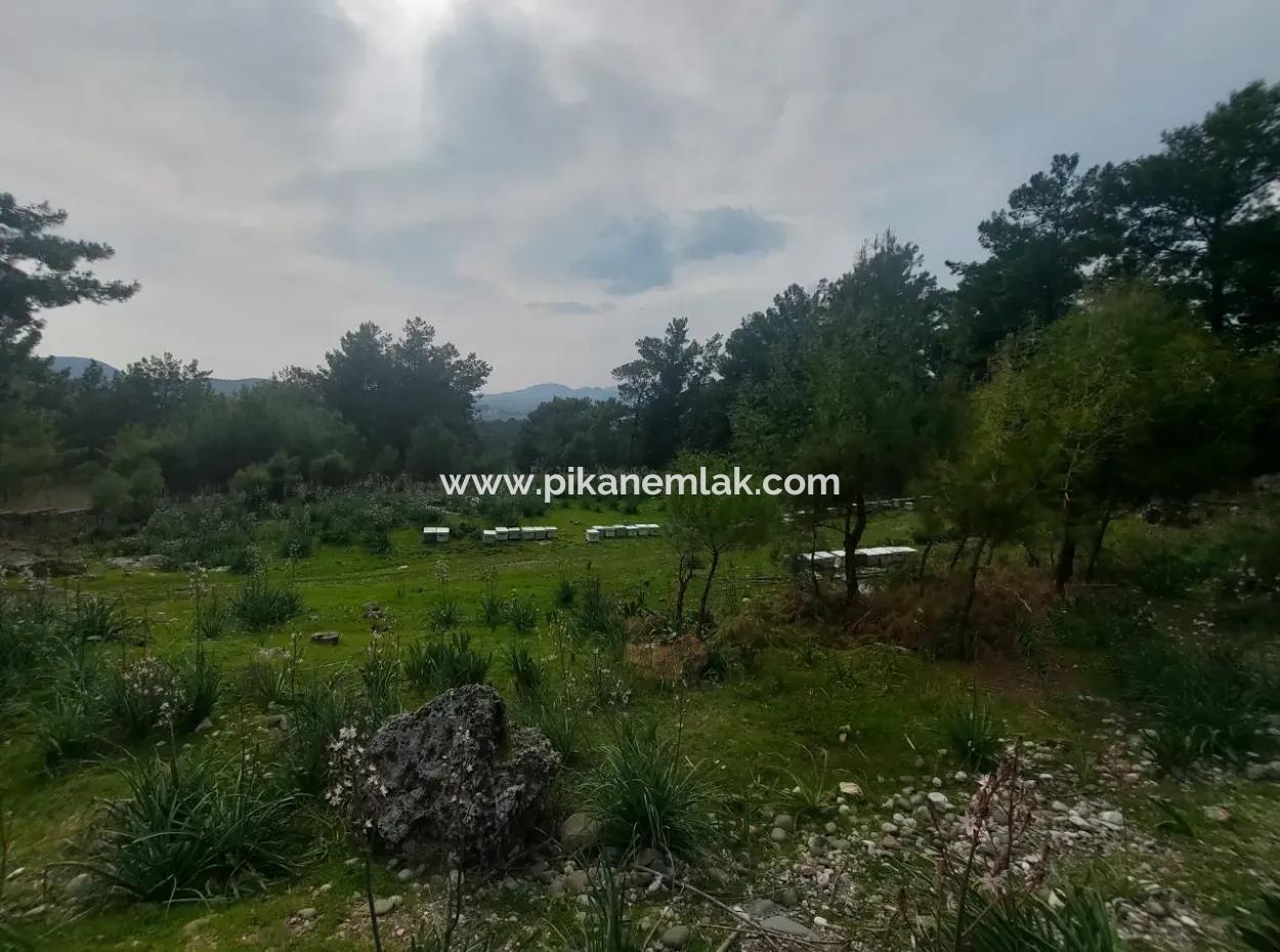 3.500 M2 Detached Land With Sea View For Sale In Dalaman Gürköy