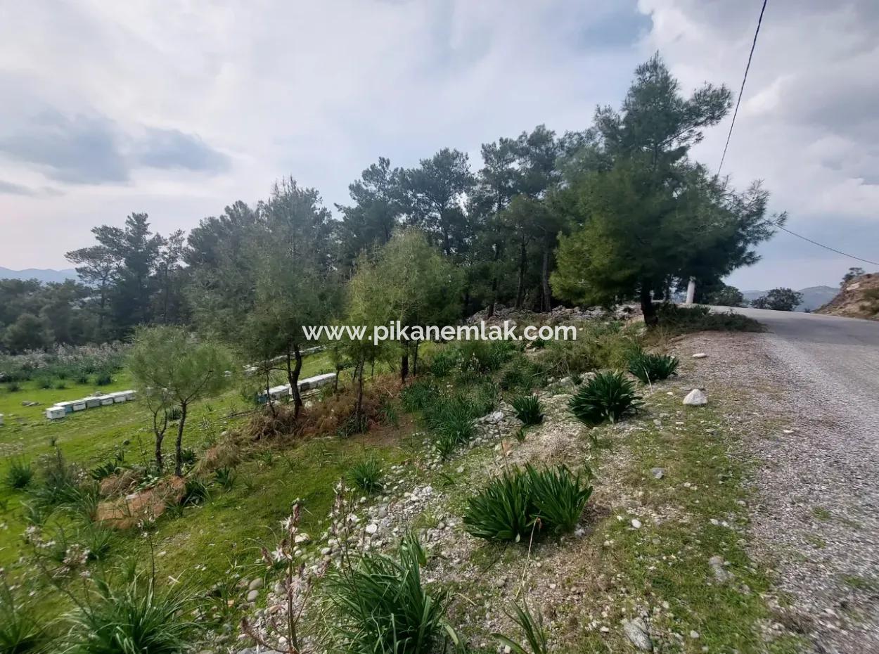 3.500 M2 Detached Land With Sea View For Sale In Dalaman Gürköy